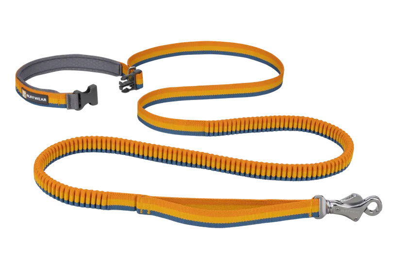 Ruffwear Roamer Bungee Dog Leash in Yellow Snow