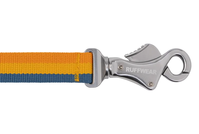 Ruffwear Roamer Bungee Dog Leash in Yellow Snow