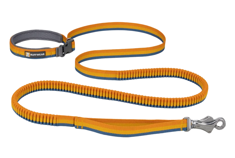 Ruffwear Roamer Bungee Dog Leash in Yellow Snow